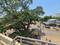Others image of 2400.0 Sq.ft  Bare shell Office Space for rent in Lunani Nagar for 39000
