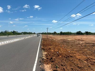 Commercial Plot