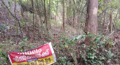 Others image of 6000.0 Sq.ft   Commercial Plot for sale in Ottapalam for 2800000