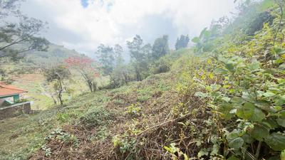 Commercial Plot