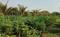 Others image of 6800.0 Sq.ft   Commercial Plot for sale in Mangire Mala for 58500000