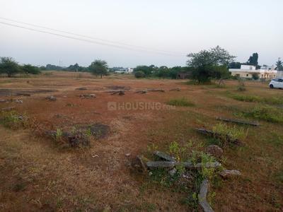 Commercial Plot