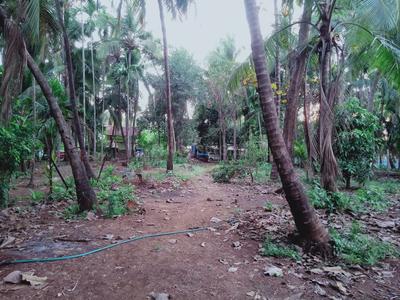 Others image of 26000.0 Sq.ft   Commercial Plot for sale in Nagaon for 62500000
