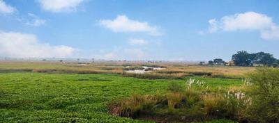 Commercial Plot
