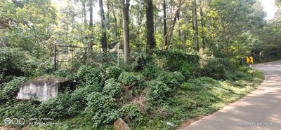 Commercial image of 5000.0 Sq.ft  Ready to use Office Space for sale in Yercaud for 2500000