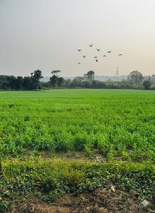 Others image of 32400.0 Sq.ft   Commercial Plot for sale in Sahastradhara Road for 50000000