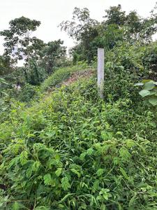 Others image of 105415.0 Sq.ft   Commercial Plot for sale in Panavoor for 36300000