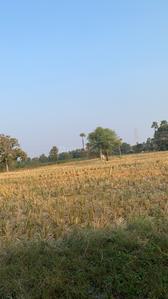 Others image of 108900.0 Sq.ft   Commercial Plot for rent in Tukkuguda for 200000
