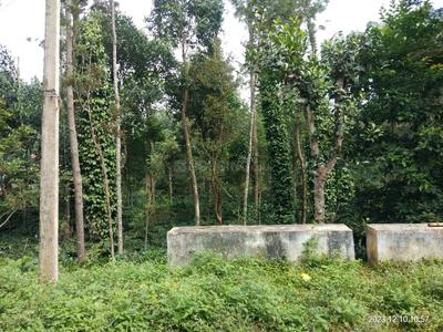 Others image of 43000.0 Sq.ft   Commercial Property for sale in Yercaud for 150000000