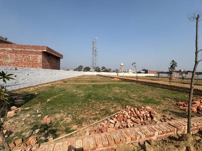 Commercial Plot