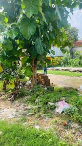 Others image of 1300.0 Sq.ft   Commercial Plot for sale in Kunraghat for 9000000