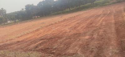 Commercial Plot