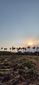 Others image of 48000.0 Sq.ft   Commercial Plot for rent in Pattabiram for 60000