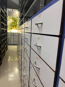 Others image of 190.0 Sq.ft   Shop for rent in Vasai West for 12000