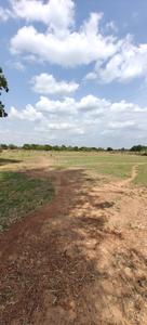Commercial Plot