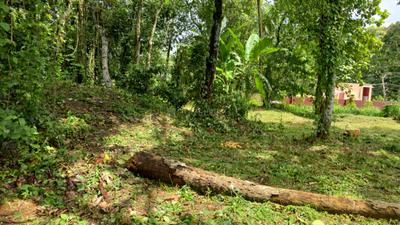 Commercial Plot
