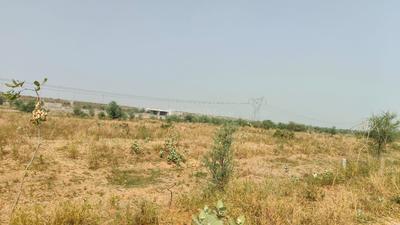 Commercial Plot