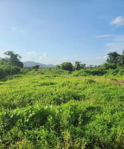 Others image of 217800.0 Sq.ft   Commercial Plot for sale in Naigaon East for 440000000