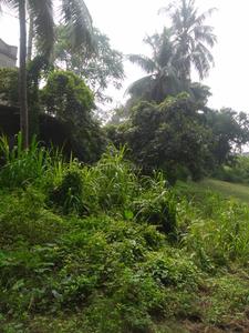 Others image of 140000.0 Sq.ft   Commercial Plot for sale in Ushagram for 100000