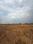 Others image of 300000.0 Sq.ft Commercial Plot for rent in Uruli Kanchan for 300000