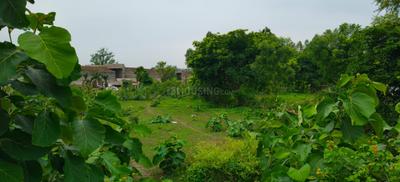 Commercial Plot