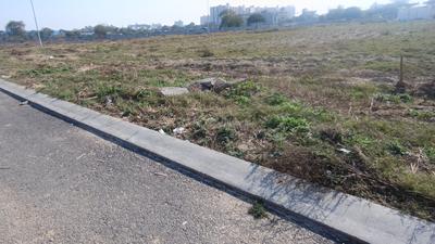 Commercial Plot