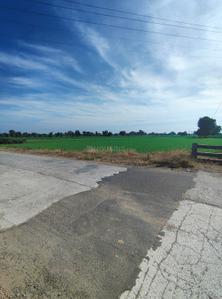 Commercial Property