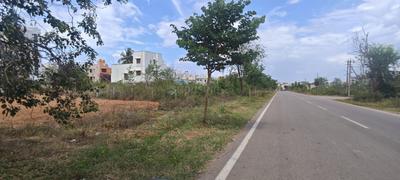 Commercial Plot