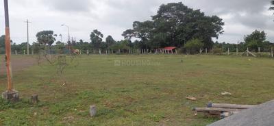 Commercial Plot
