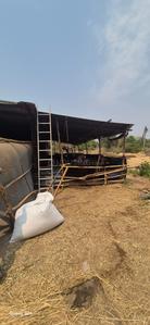 Others image of 43551.0 Sq.ft   Commercial Plot for sale in Padgha for 13000000