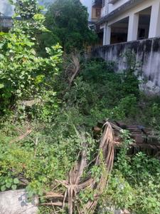Commercial Plot