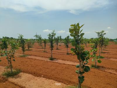 Others image of 300.0 Sq.ft   Commercial Property for sale in Chengalpattu for 2400000