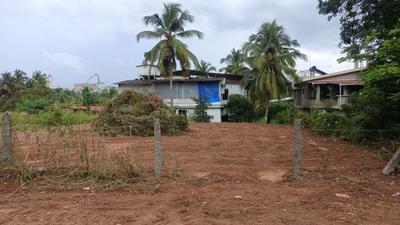 Commercial Plot