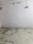 Others image of 300.0 Sq.ft   Shop for sale in Behala for 7000000