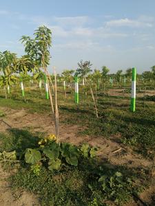 Others image of 9600.0 Sq.ft   Commercial Plot for sale in Ennaikaran for 240000