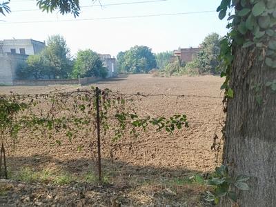 Others image of 184694.4 Sq.ft Commercial Plot for sale in Gharuan for 740000000