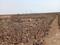 Others image of 1089.0 Sq.ft   Commercial Plot for sale in Belondakhar for 600000