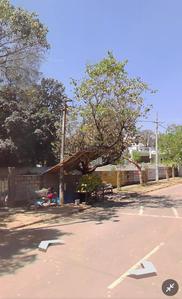 Others image of 20000.0 Sq.ft   Commercial Plot for sale in Koramangala for 560000000