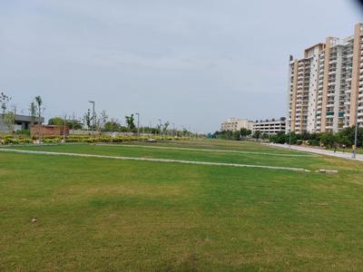 Commercial Plot