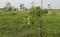 Others image of 9600.0 Sq.ft   Commercial Plot for sale in Ennaikaran for 2000000