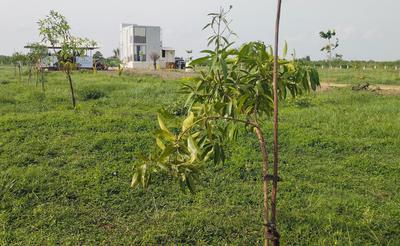 Others image of 9600.0 Sq.ft   Commercial Plot for sale in Ennaikaran for 2000000