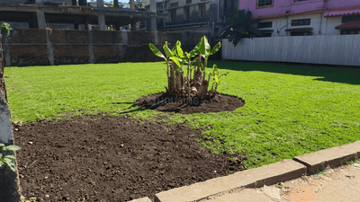 Commercial Plot