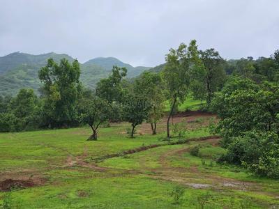 Others image of 40000.0 Sq.ft   Commercial Plot for sale in Velhe Bk. for 700000