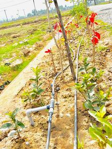 Others image of 1500.0 Sq.ft   Commercial Plot for sale in Tirumala for 2500000