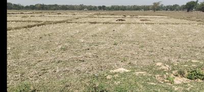 Commercial Plot