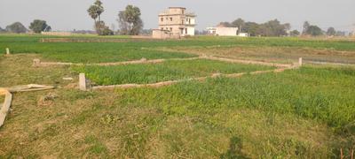 Commercial Plot