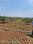 Others image of 605.0 Sq.ft   Commercial Plot for sale in Narayankhed for 700000