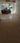 Others image of 550.0 Sq.ft Shop for rent in Chandlodia for 22000