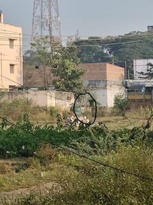 Others image of 6000.0 Sq.ft   Showroom for rent in Desapatrunipalem for 150000