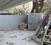 Others image of 517.0 Sq.ft   Shop for rent in Matunga East for 200000